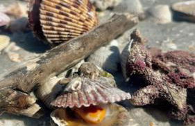 Vista Del Mar at Cape Harbour Marina, 10th Floor Luxury Condo, King Bed, Views! - Foto 60