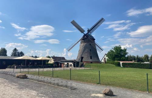 Ferienloft Libela Straupitz im Spreewald - Foto 24