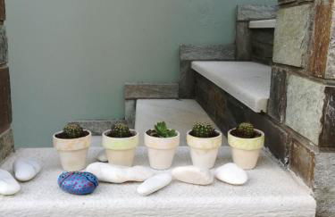 Almira Kalamos - Foto 9