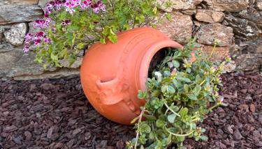 MirakostaCB - Foto 5