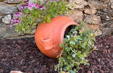 MirakostaCB - Foto 5