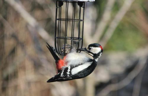 The Old Reading Room - Photo 20