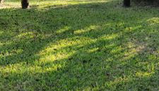 Pousada Mosselini - Photo 5