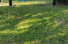 Pousada Mosselini - Foto 5