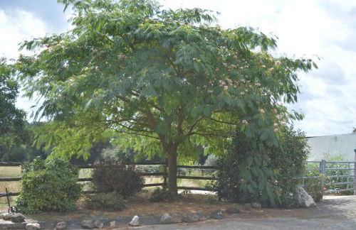 Gite de la Foye - La Couleur des prés - Foto 18