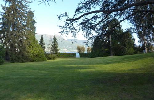 Hermitage mimosa - Photo 17