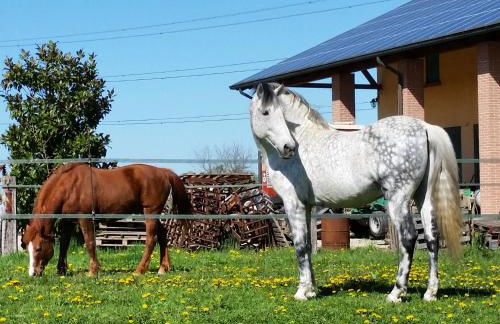 Agriturismo Santa Barbara - Photo 25