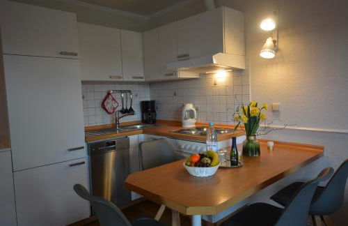 Nur für Monteure - Moderne Appartements - Foto 16