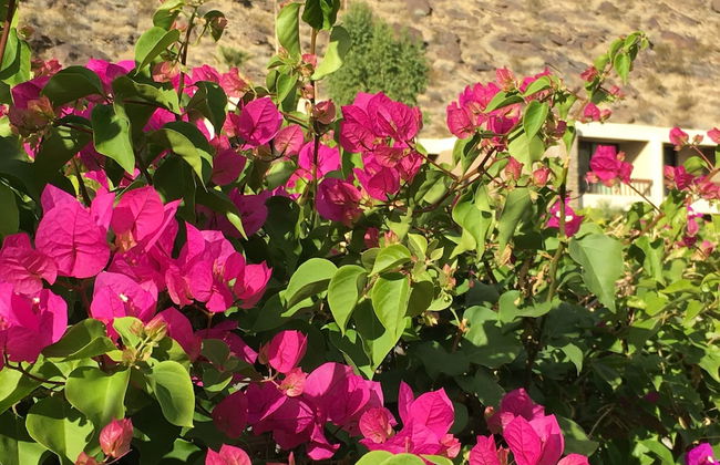 GetAways at Palm Springs Tennis Club - Foto 41