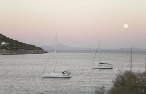 Sunrise Flora - Foto 37