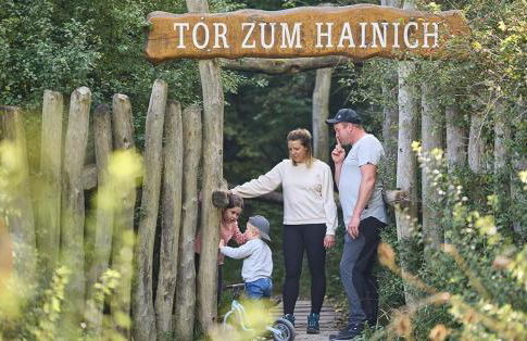 WaldResort - Am Nationalpark Hainich - Foto 31