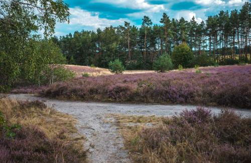 Ferienwohnung Ram 1 - Photo 60