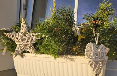 Ferienwohnung Ott - Foto 37