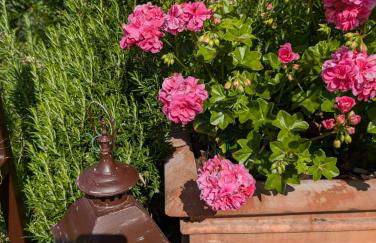 Cà Nostra B&B Home Restaurant - Photo 63