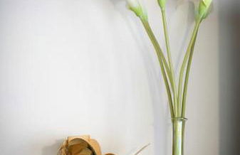 Appartement lumineux de 35m² en centre-ville - Foto 5