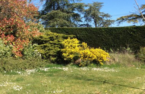 Gîte La Maison du Bonheur - Foto 29