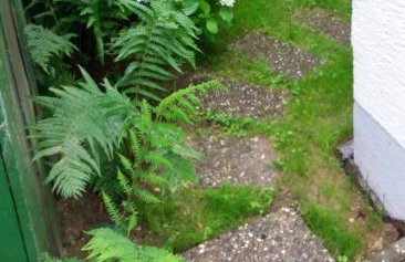 Ferienhaus Baederleiblick - Foto 16