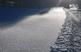Le Repaire du Loup blanc - Foto 30