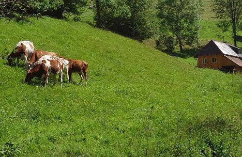 Brosihof - Foto 33