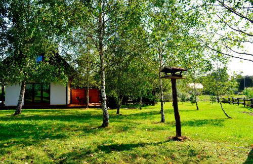 Bies Czadowy Zakątek - Foto 33