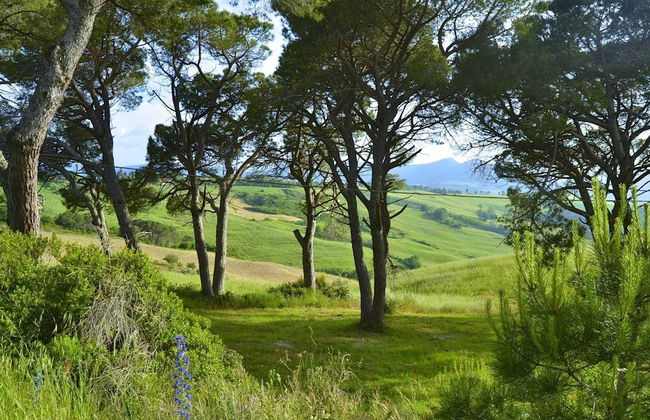 Apartment in the Village With air Conditioning - Foto 29