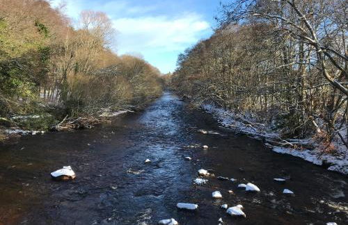 Ceol Na Mara Cottage by the sea - Foto 35