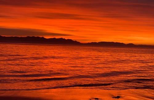 Villa Delfini - Foto 63