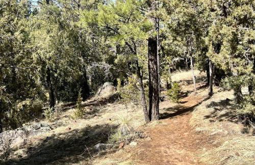 Penthouse Suite at Meadow View! - Foto 8