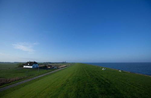 Tede Warft Freistehend am Deich mit Sauna - Foto 4