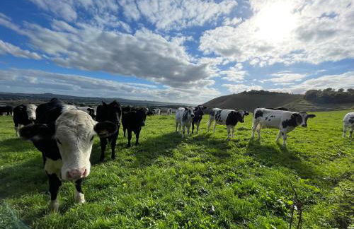 The Old Chapel - Photo 34