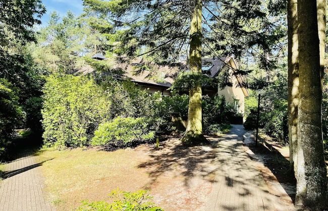 Villa in Doornspijk Near Forest and Lake - Photo 34