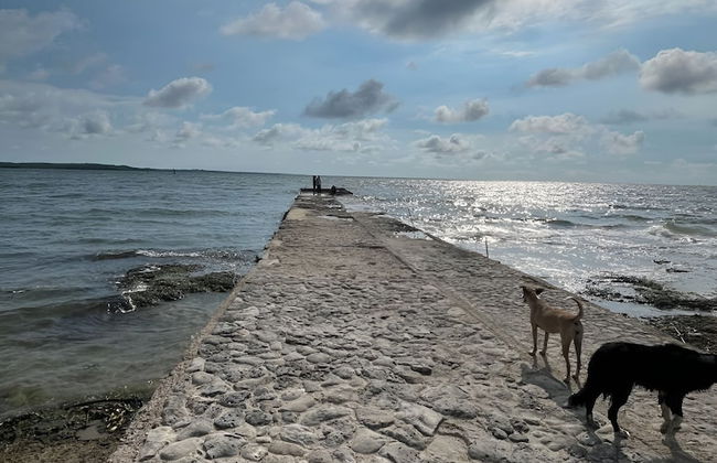 Mahanaim Beach House 20 min from CTG - Foto 40