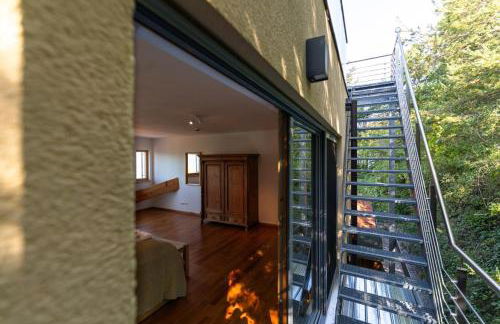 Ferienhaus hoch über dem Taubertal mit fantastischem Weitblick, Dachterrasse, 2000m2 großem Grundstück und Kamin - Foto 12