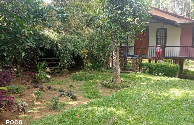 Family Villa is a hut Style Accommodation - Foto 6