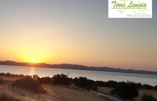 TERRA LEMNIA - Foto 1