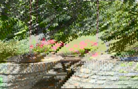 Agriturismo Case Mori - Foto 42