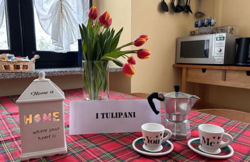 i tulipani - Foto 1