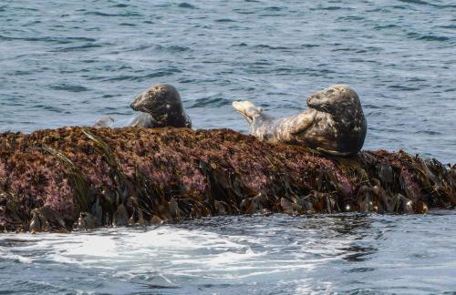 BillWatch Cottage - Foto 43