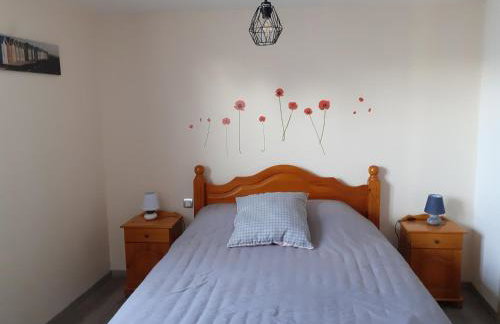 les coquelicots en baie de Somme - Foto 6