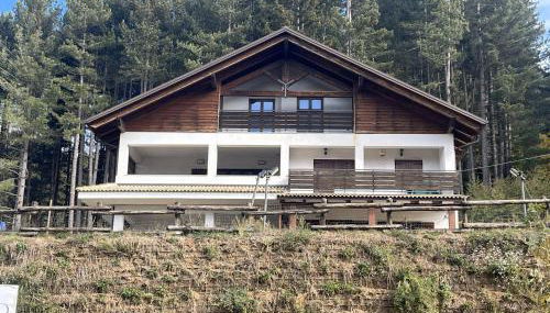 Tra il bosco e il lago - Foto 2