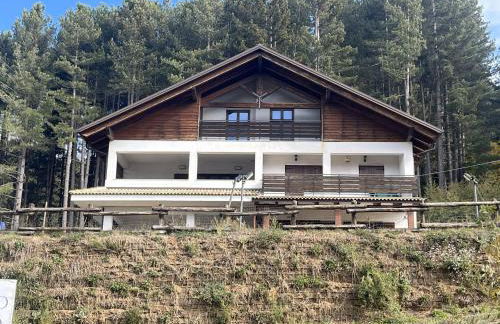 Tra il bosco e il lago - Foto 2