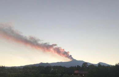 Terre di Monacella - Foto 13