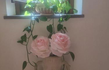 La rosa del castello - Photo 27