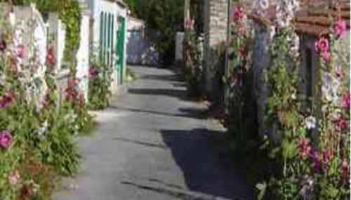 La maison du facteur - Foto 3