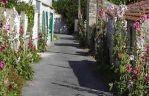 La maison du facteur - Foto 3