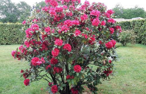 Lac et Nature - Foto 3