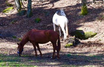 Quinta da Quinta - Foto 17