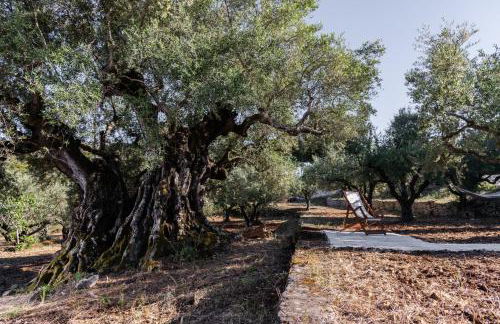 Villa Nena - Foto 21