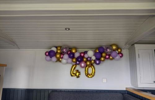 Little Acorn - Luxury shepherd's hut / lodge with private hot tub and garden - Foto 26