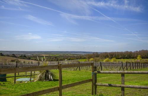 Thistle No4 - Uk49250 - Foto 8